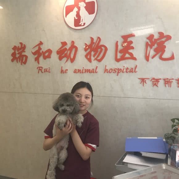 瑞和宠物医院