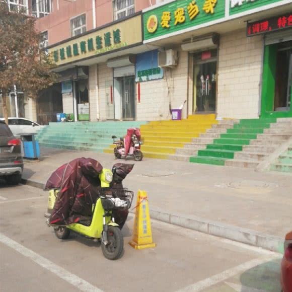 爱宠当家