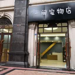 一间宠物店