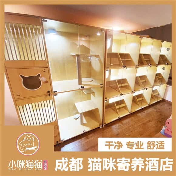 小咪猫猫生活馆
