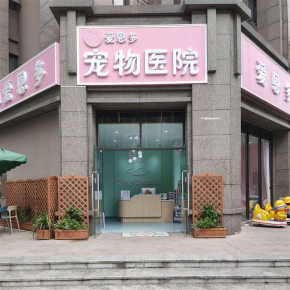 IMDog爱恩多宠物医院(天府分院)