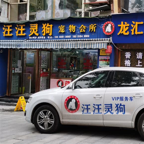 汪汪灵狗宠物会所