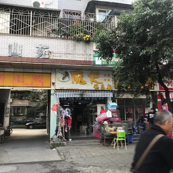 魔犬俱乐部