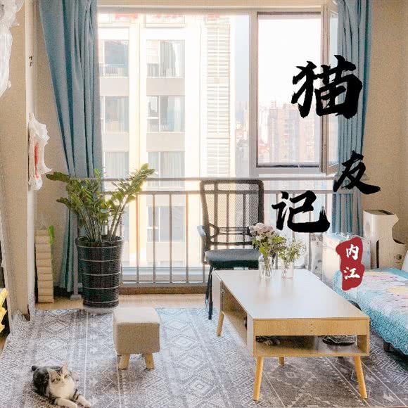 猫友记 宠物工作室