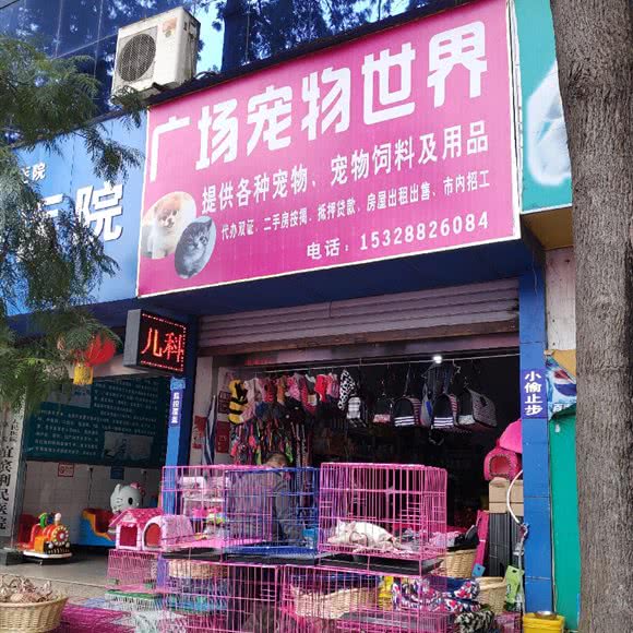 广场宠物世界