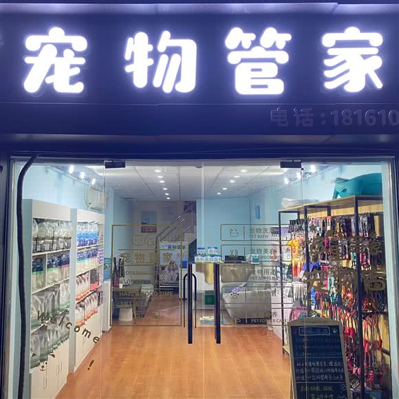 AI+宠物管家