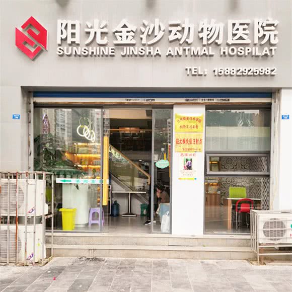 阳光金沙动物医院