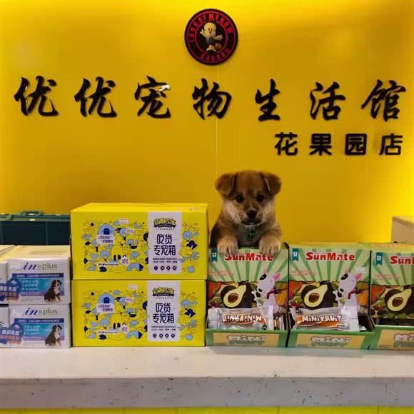 优优宠物生活馆