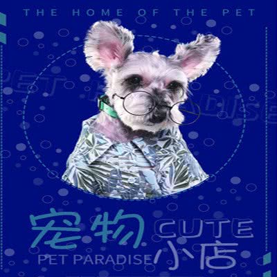 TiMo萌宠生活馆