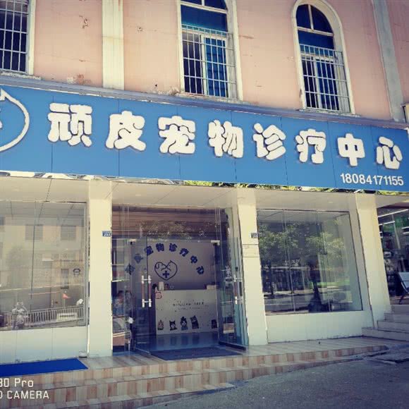顽皮宠物诊疗中心