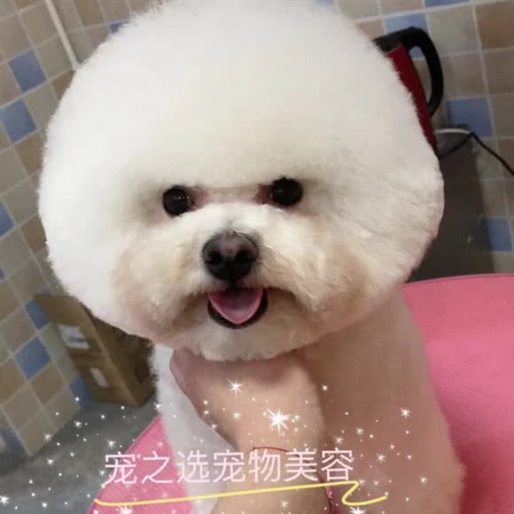 宠之选(紫薇广场店)