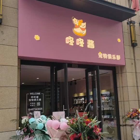 咚咚酱宠物俱乐部