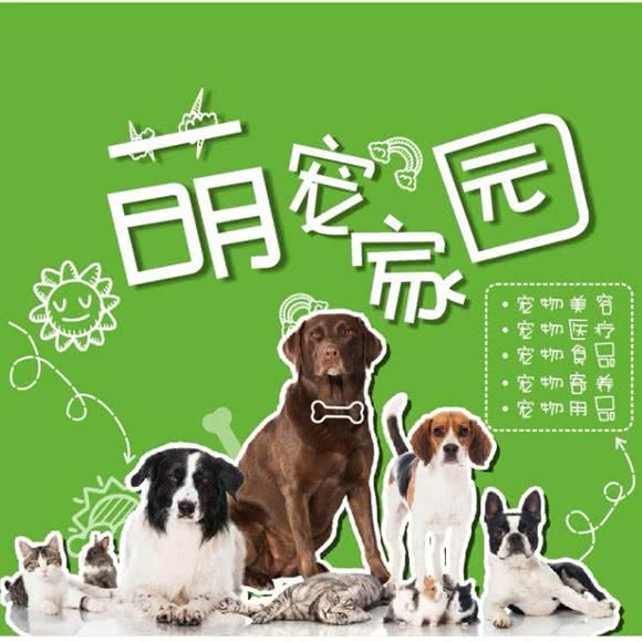 张萍宠物美容工作室