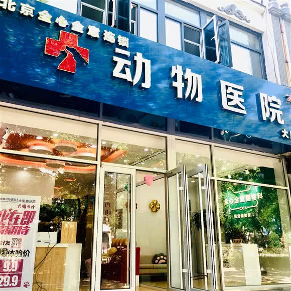 全心全意动物医院24h(大里路店)(大里路店)
