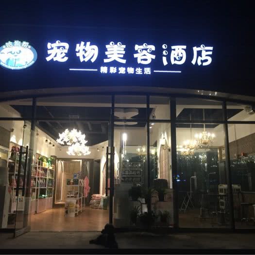 哈狗帮宠物