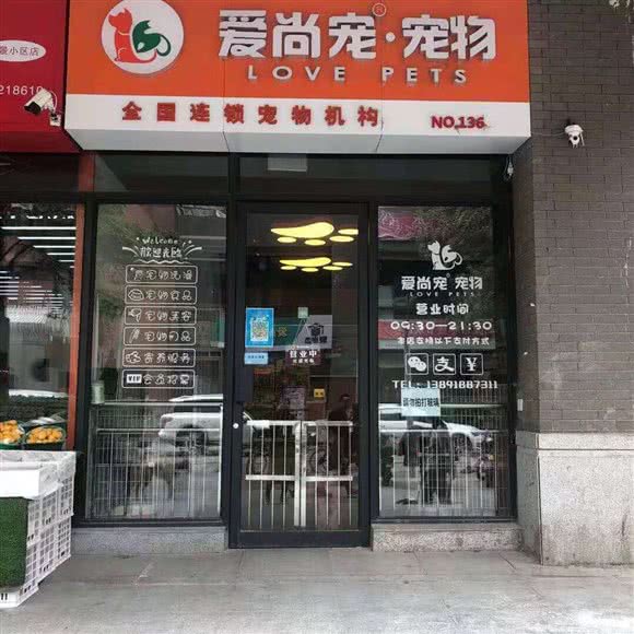 爱尚宠宠物狗
