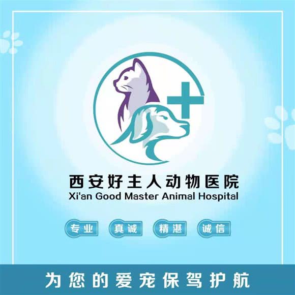 好主人动物医院