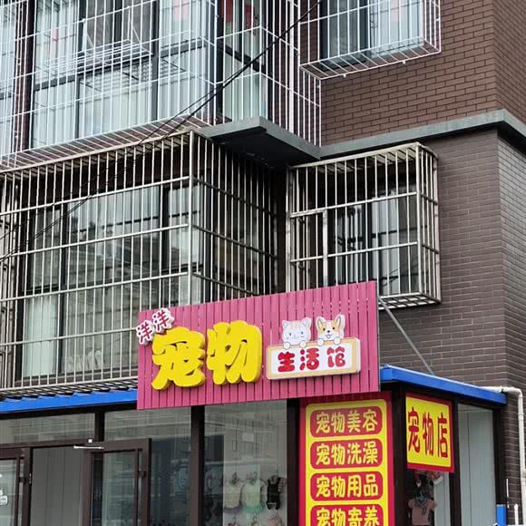 洋洋宠物生活馆