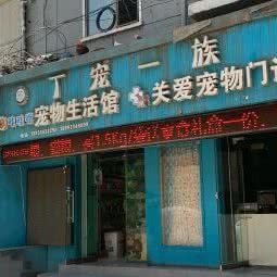 丁宠一族咔哇伊宠物店