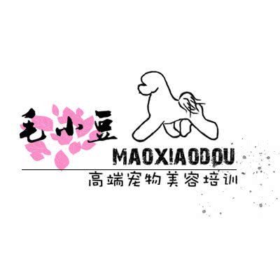 毛小豆宠物美容