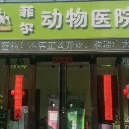 菲尔动物