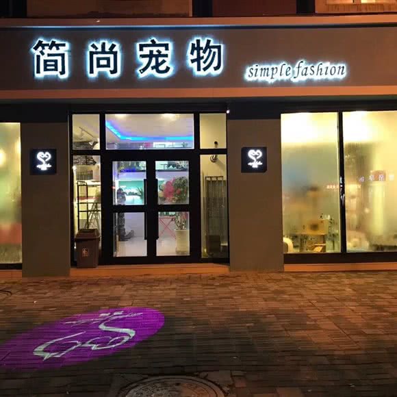 简尚宠物狗