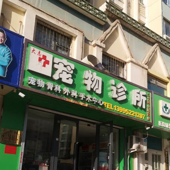 大志宠物诊所
