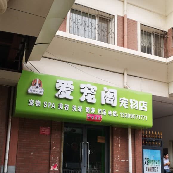 爱宠阁宠物店