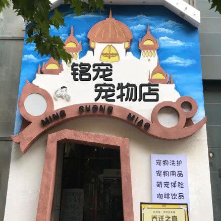 铭宠宠物店