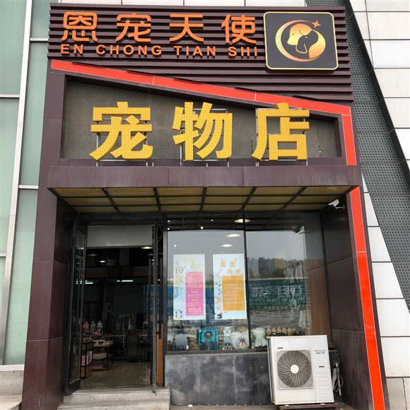 恩宠魔鬼宠物店