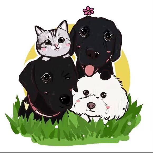 宠当家宠物生活馆