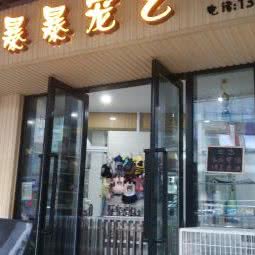 暴暴宠艺