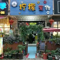柠檬宠物