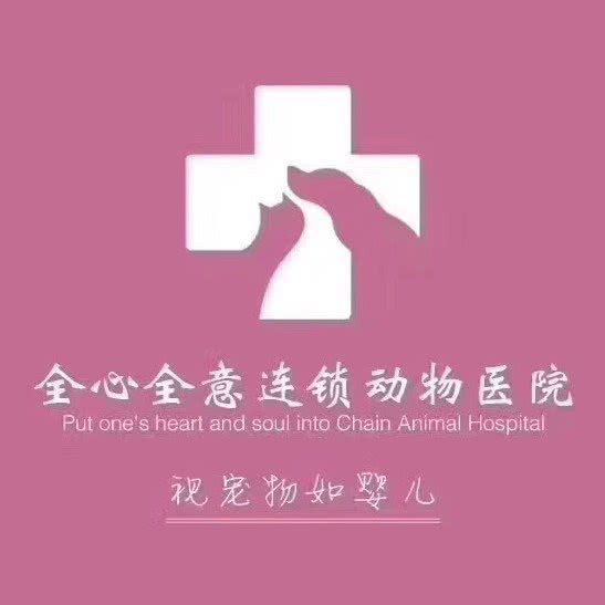 全心全意连锁店动物医院