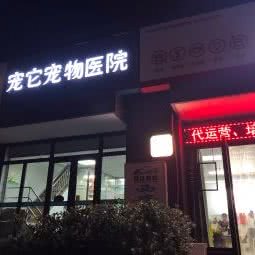 宠它宠物医院