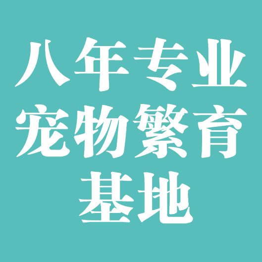 大力宠物·犬猫繁殖基地·赛级洗护(高新店)