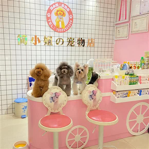 简小姐の宠物店(东城1号店)