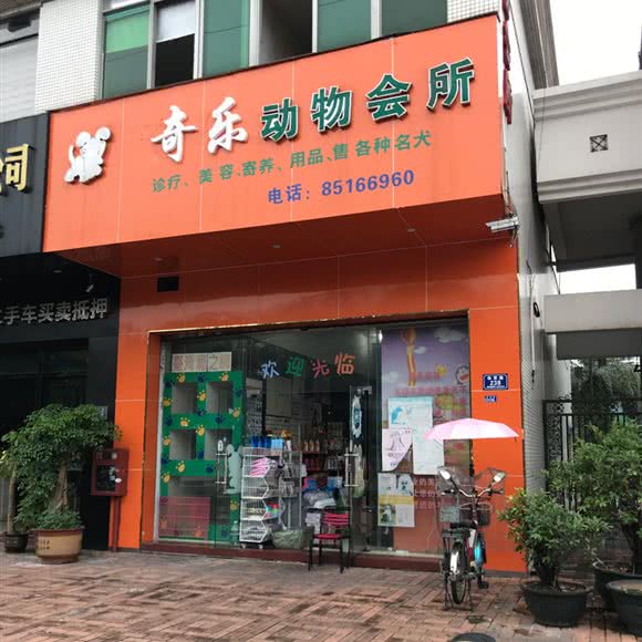 奇乐动物会所