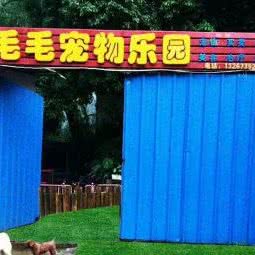 毛毛宠物店(长安店)