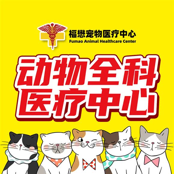 福懋动物诊所(石歧总院)