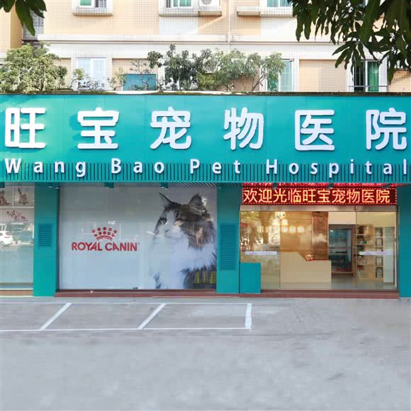 旺宝宠物医院(顺景诊疗中心)