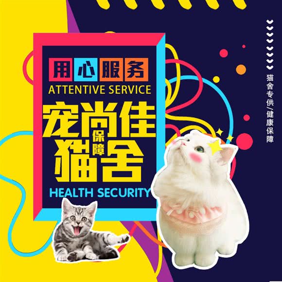 宠尚佳·猫舍旗舰店(常营龙湖天街西区店)