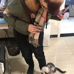 清亮猫舍