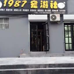 1987宠游社宠物店