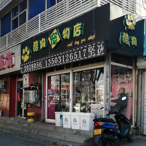 酷狗宠物店