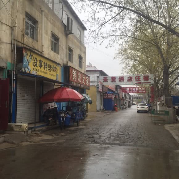 宠物市场