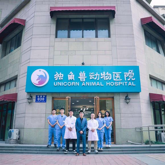 独角兽动物医院