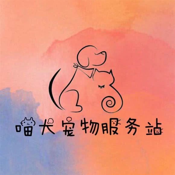喵犬宠物狗服务站