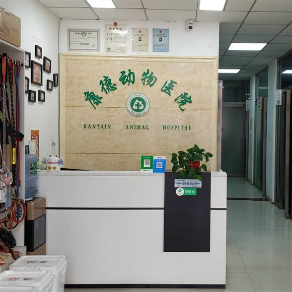 康德动物医院