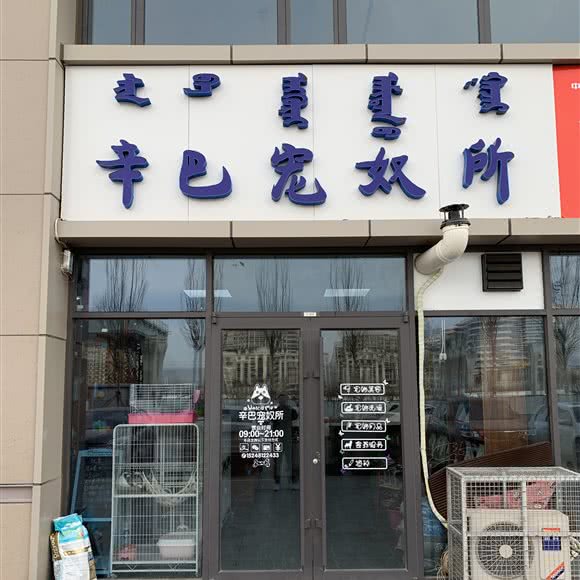 辛巴宠奴所
